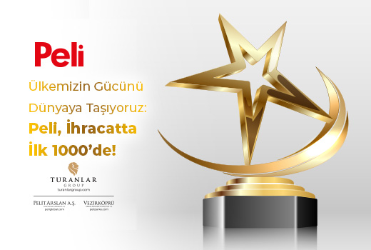 PELİ, İhracatta İlk 1000 Firma Arasında!